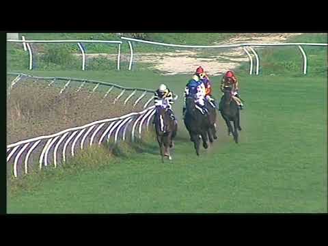 Napoli Galoppo 02/11/2022 - 3ª corsa