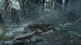 The Elder Scrolls V: Skyrim. Добыть кровь высокого эльфа. Прохождение от SAFa