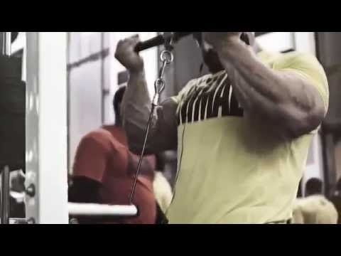 LEVÁNTATE Y BRILLA - MOTIVACIÓN GYM