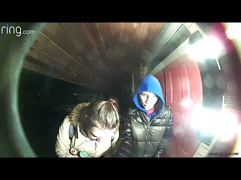 Amble Greene Break & Enter Attempt January 2020