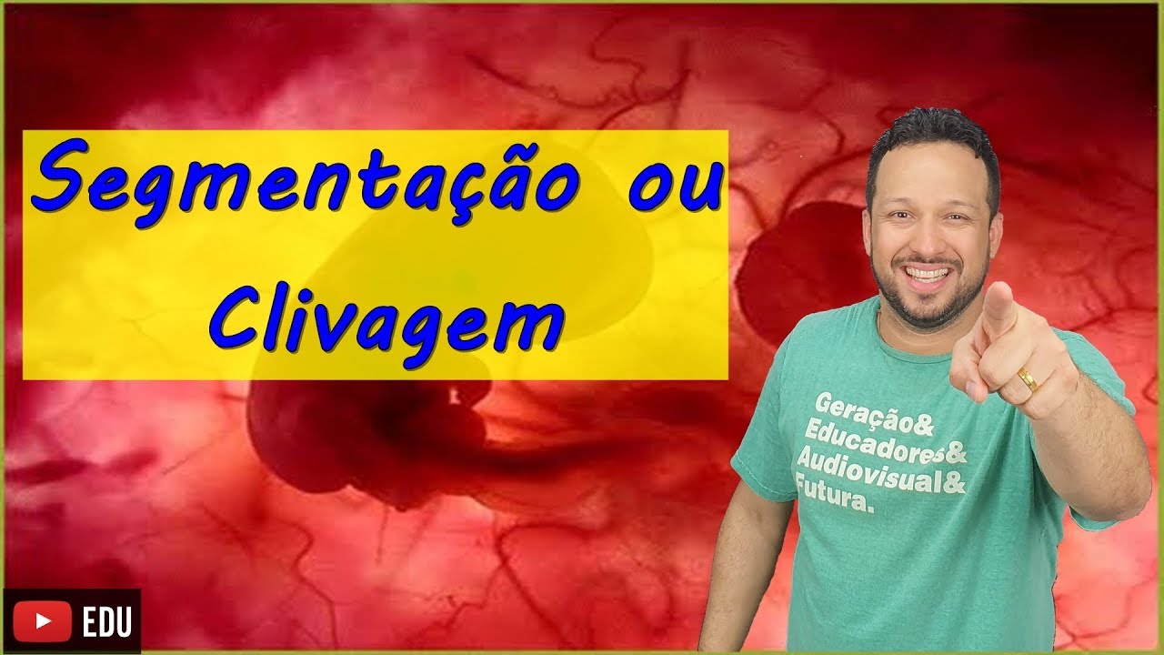 Segmentação ou Clivagem - Embriologia - Aula 3