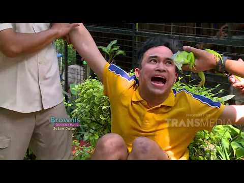 Uji Keberanian Anwar, Awalnya Sih Oke Malah Jadi Gini... | Best Moment Brownis Jalan Jalan (30/5/20)