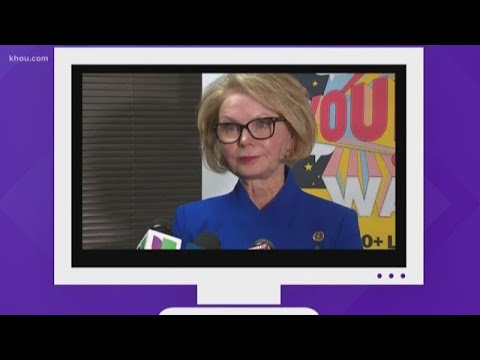 哈里斯縣書記解釋選舉日結果緩慢 (Harris County Clerk explains slow Election Day results)