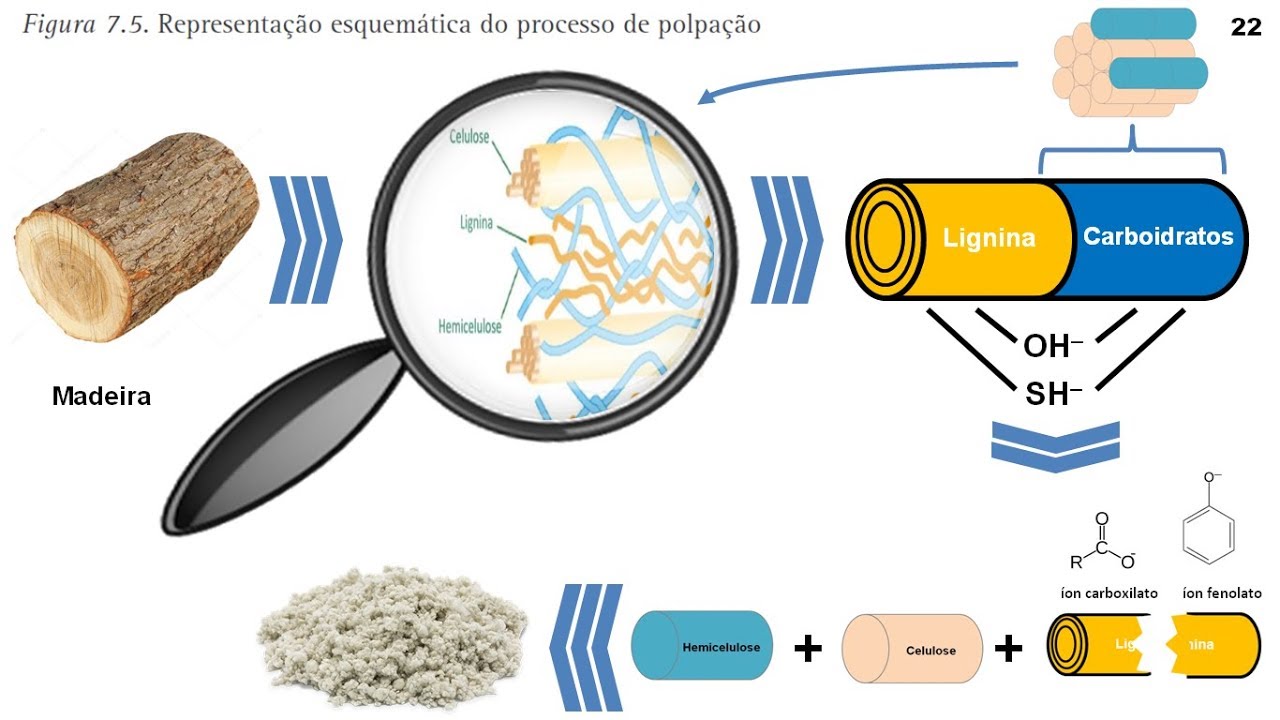 Química Aplicada: Indústria de Celulose e Papel