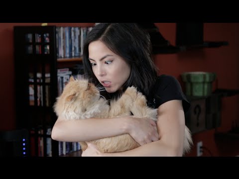 當身邊的朋友們都陸續定下來...天啊！我應該要結婚嗎？(Should I Get Married?)