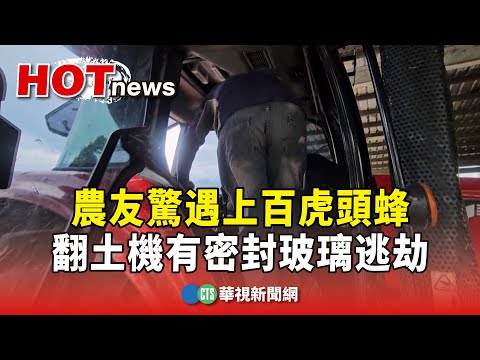 農友驚遇上百虎頭蜂　翻土機有密封玻璃逃劫