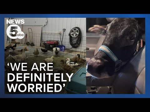 East Palestine residents have water concerns; say pets are their proof