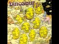 Dinosaur Jr. - Pierce the Morning Rain
