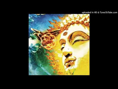 Rikard Sjoblom's Gungfly Of the Orb