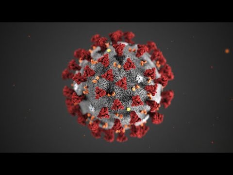 Video graphic: How the coronavirus is transmitted
