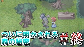 【実況】おいでよ！どうぶつ達の森【どうぶつ達の森】＃終