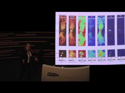 Stefanie Walch - The turbulent life-cycle of molecular clouds