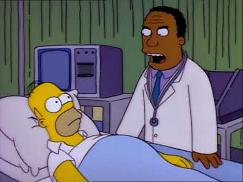 The Simpsons - Remember your hippopotamus oath