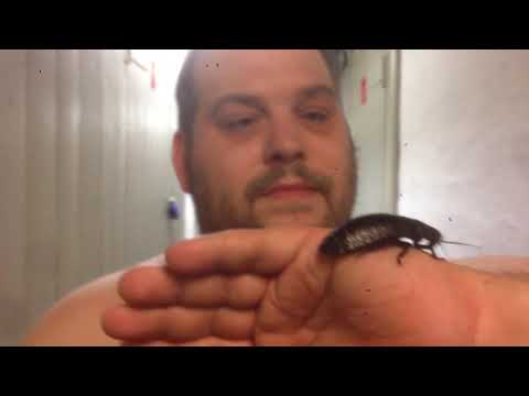 Coma Club 2015 / 6# Promo