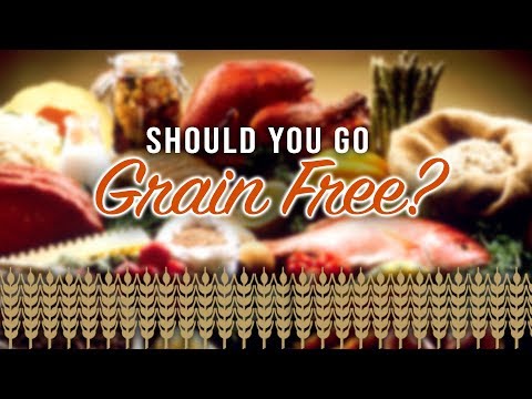 Is A Grain Free Diet Healthy For Pets? - YouTube
