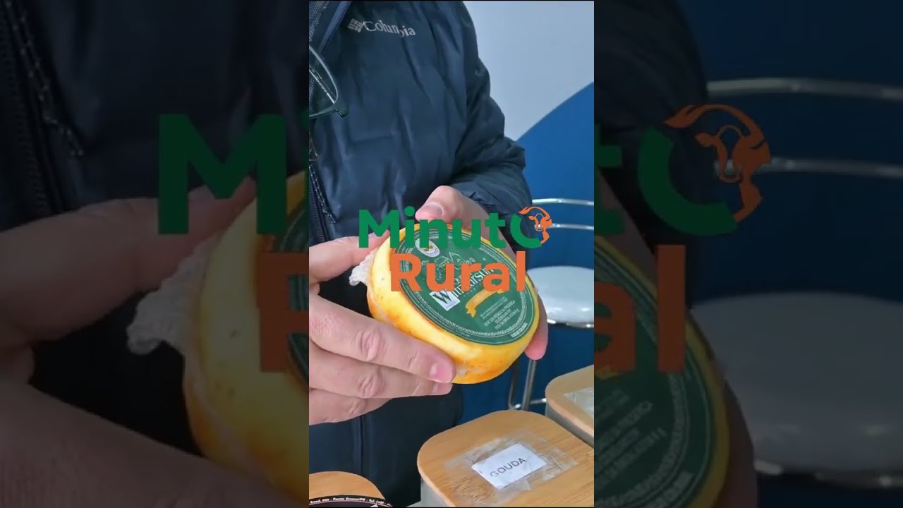 🧀🏆 Você sabia que muitos dos queijos premiados do Paraná têm origem na Escola de Queijos da UEPG?