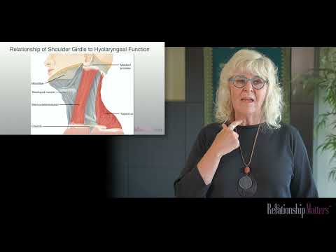 COURSE KEEPER | Clavicle and the Neck  NDTA Approved Advanced Upper Extremity Course