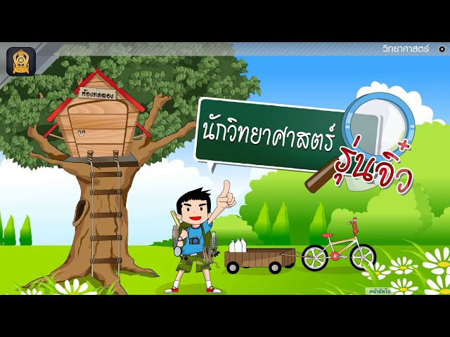 ตัวนำไฟไฟ้า และฉนวนไฟฟ้า