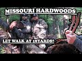 Missouri Longbeard Turkey Hunting Hardwoods
