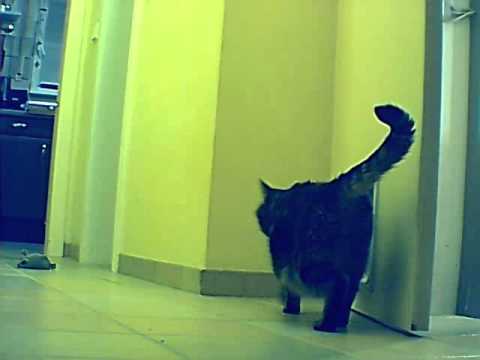 Lea wartet auf Fütterung Teil I