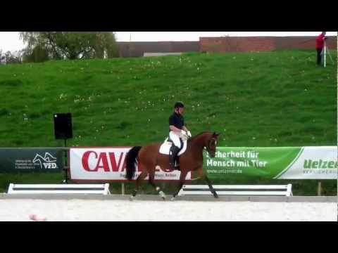 e-motion-pferd: Hof Brüning