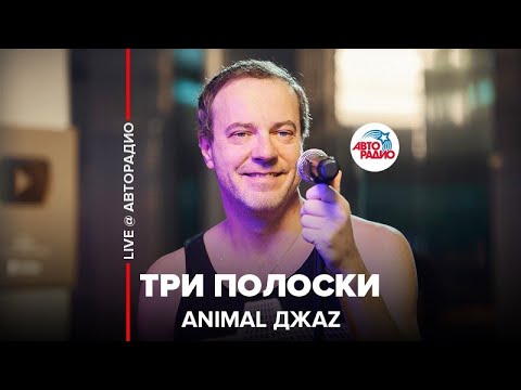 Animal ДжаZ - Три Полоски (LIVE @ Авторадио)