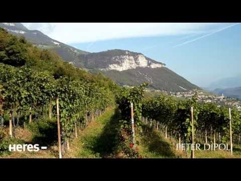 #paroladiheres - Voglar 2010 by Peter Dipoli - 1a parte