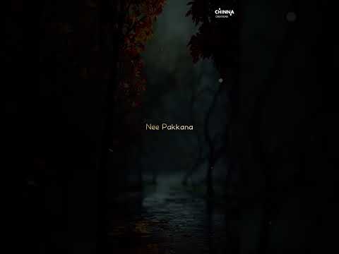 Premam Movie Evare Song WhatsApp Status Lyrics #premam #nagachaitanya #shrutihaasan