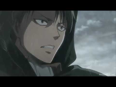 Levi`s Pain