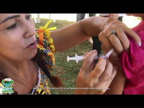 Várias ações foram realizadas em 2024 pela Gestão municipal