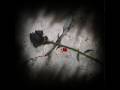 Black Roses - Marc Terenzi