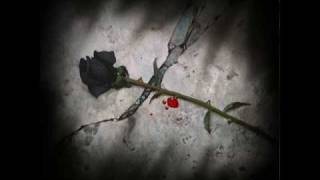 Marc Terenzi Black Roses