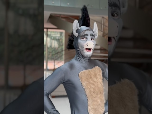 Vídeo relacionado con Shrek Juego de 3 calcetines unisex multicolores de burro | Calcetines con personajes de películas | Diseño gráfico para uso diario | Mercancía