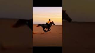 #Amnaswami Fast Horse Riding 🏇🏇 Awesome What