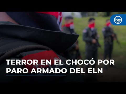 “Reina el miedo”: dramático testimonio de Monseñor Mario Álvarez tras paro armado del ELN en Chocó