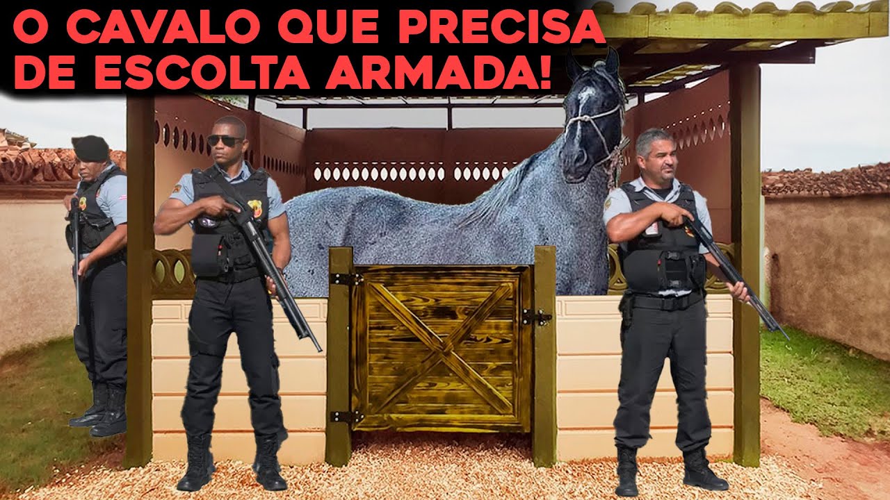 COMO VIVE O CAVALO MAIS CARO DO BRASIL DE 16 MILHÕES DE REAIS?