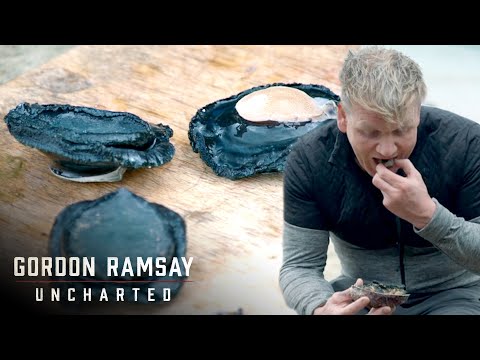Gordon Learns How To Prepare And Cook Paua | Gordon Ramsay: Uncharted