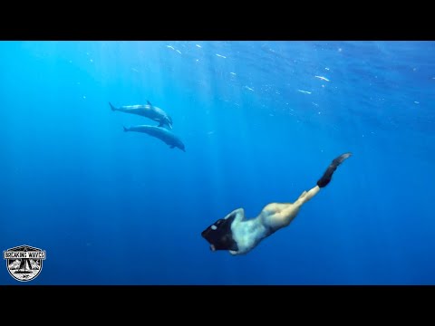 BOOBIES And BLUE WATER SPEARFISHING