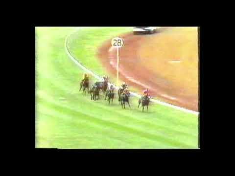 1987 Linlithgow Stakes - Placid Ark