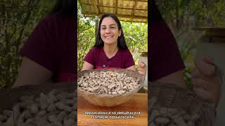 Fazendo nutella caseira
