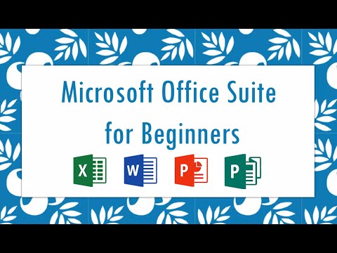 Microsoft Office Suite for Beginners