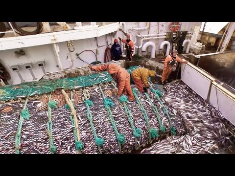 Big Net fishing, Trawler fishing in the Sea - How Fishermen Catch Hundreds Tons of Fish in The Sea