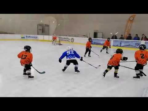 Királypingvinek A - Csíkszereda A