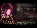 Video 2: Phrases Walkthrough