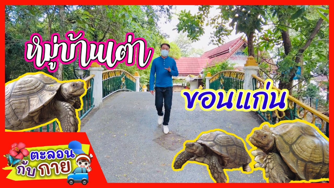หมู่บ้านเต่า