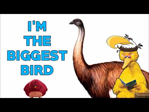 [MV] SAINT MERCATØR – Da Biggest Bird