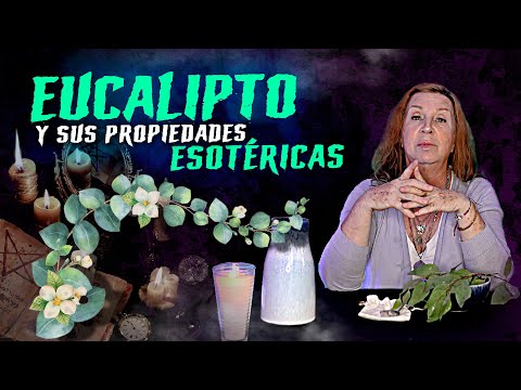 Eucalipto y sus propiedades esotéricas