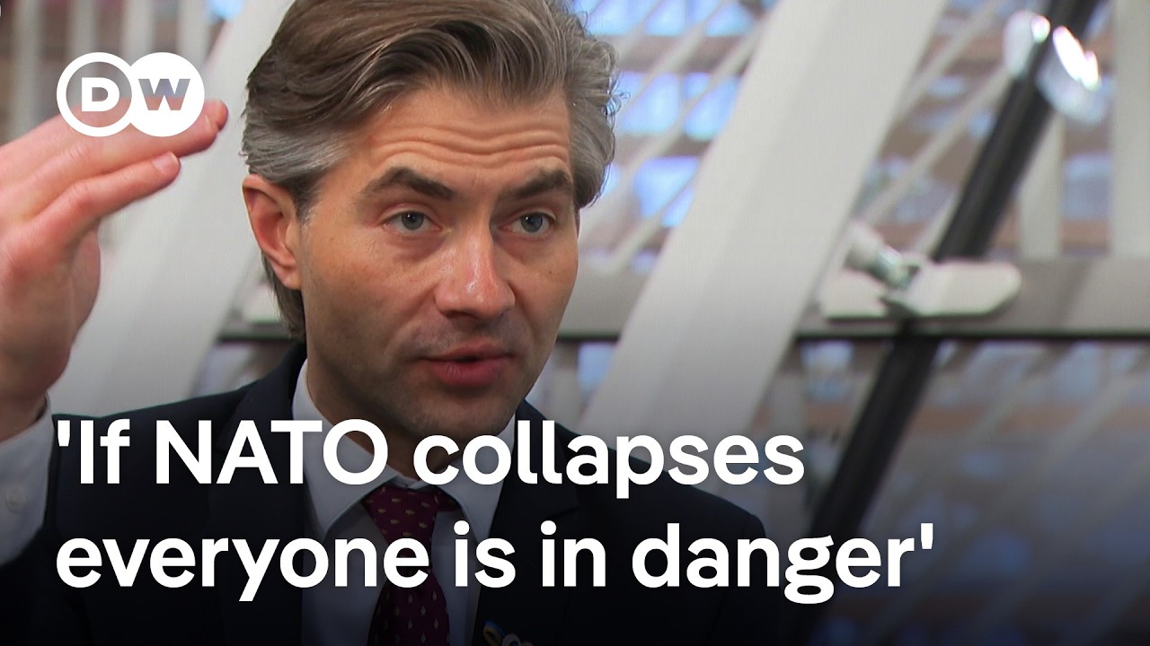 Ukraine ceasefire would be 'a trap that will end in another conflict' Lithuania's FM | DW News