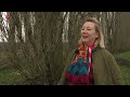 Nieuwe bomen voor landschapskunstwerk De Groene Kathedraal in Almere