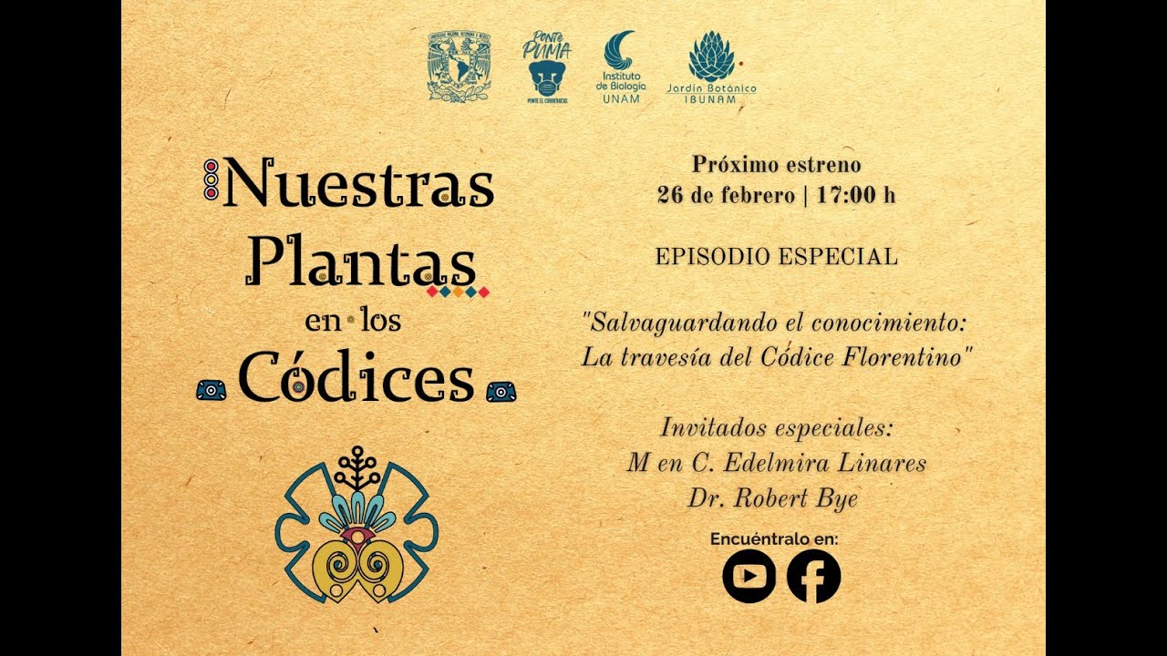 SALVAGUARDANDO EL CONOCIMIENTO: LA TRAVESÍA DEL CÓDICE FLORENTINO